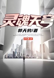 灵魂天穹 封面