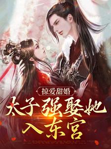 掠爱甜婚:太子强娶她入东宫 封面