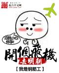 开个飞机去明朝 封面