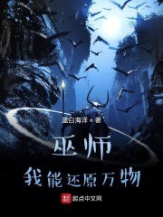 巫师：我能还原万物 封面