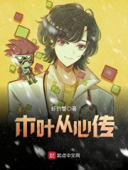 木叶从心传 封面