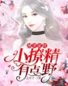 薄爷家的小撩精有点野 封面