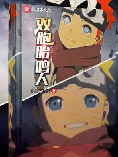 双胞胎鸣人 封面