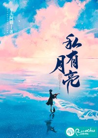私有月亮 封面