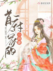 首辅家的小娇妻 封面