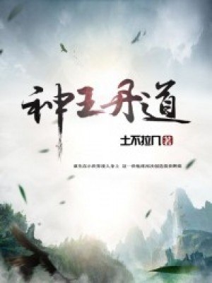 神王丹道叶云 封面