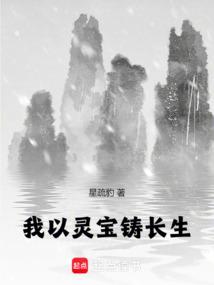 我以灵宝铸长生 封面