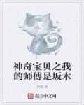 神奇宝贝之我的师傅是坂木 封面