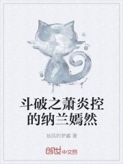 斗破之萧炎控的纳兰嫣然 封面