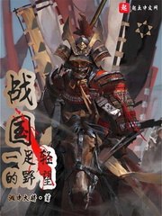 战国一足轻的野望 封面