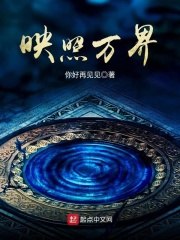 映照万界 封面
