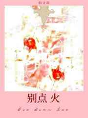 别点火难辞其咎 封面
