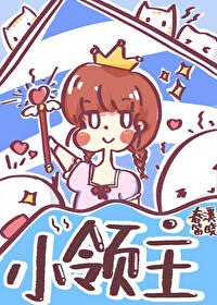 小领主 封面