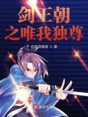 剑王朝之唯我独尊 封面