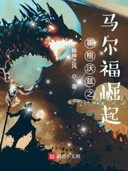 霍格沃兹之马尔福崛起 封面