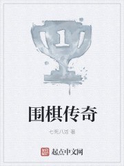 围棋传奇 封面