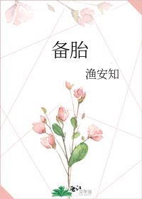 备胎 封面