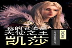 我的老婆是天使之王凯莎 封面