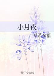 小月夜 封面