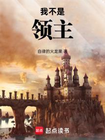 我不是领主 封面