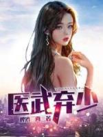 医武弃少 封面