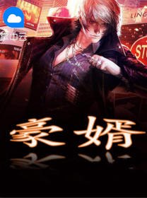 叶凡秋沐橙 封面