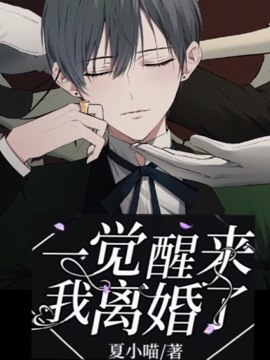 一觉醒来我离婚了 封面