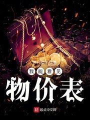 我能看见物价表 封面