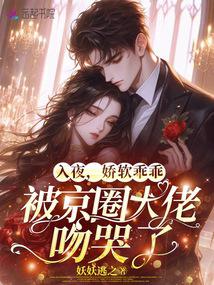 入夜，娇软乖乖被京圈大佬吻哭了 封面