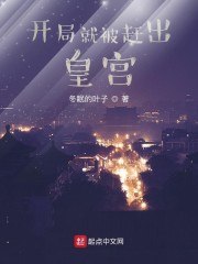 开局就被赶出皇宫 封面