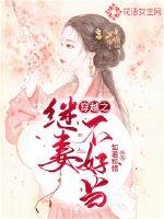 穿越之继妻不好当 封面