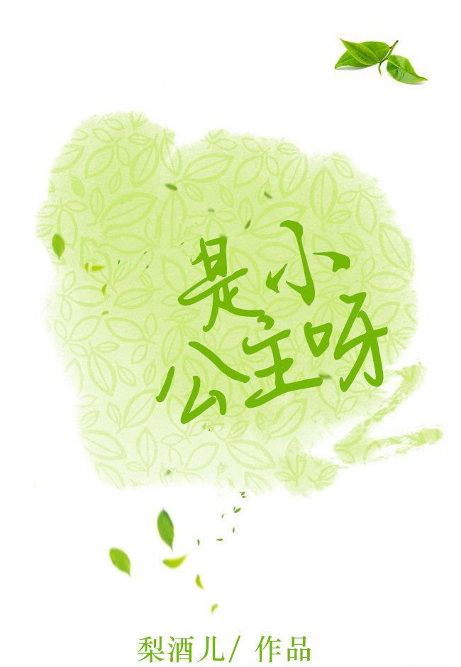 是小公主呀 封面