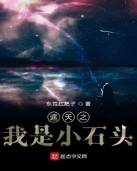遮天之我是小石头 封面