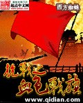 抗战之血色战旗 封面
