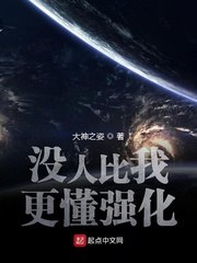 没人比我更懂强化 封面
