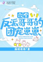 六个反派哥哥的团宠崽崽 封面