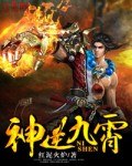 神逆九霄 封面