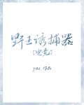 如何诱捕打野 封面