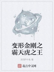 变形金刚之霸天虎之王 封面