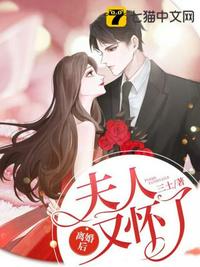 离婚后夫人又怀了 封面