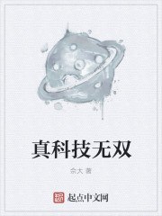 真科技无双 封面
