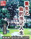 重生之我的书记人生 封面