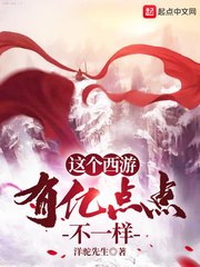 这个西游：有亿点点不一样 封面