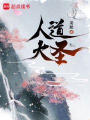 人道大圣陆叶唐遗风 封面