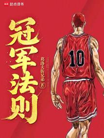 冠军法则 封面