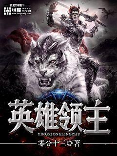英雄领主 封面