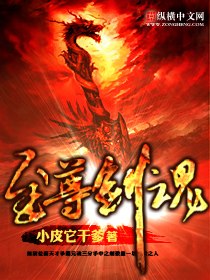 至尊剑魂 封面