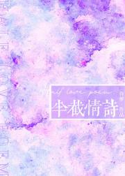 半截情诗 封面