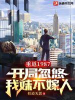 重返1987：开局忽悠我妹不嫁人 封面