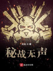密战无声 封面